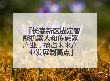 长春新区锚定智能机器人和传感器产业，抢占未来产业发展制高点