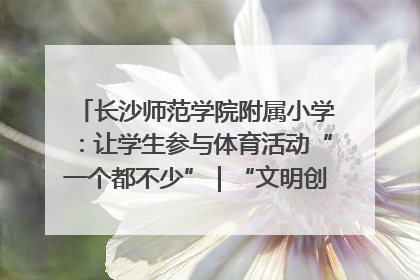 长沙师范学院附属小学：让学生参与体育活动“一个都不少”｜“文明创建耀三湘”专栏