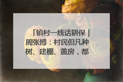 镇村一线话耕保｜周张博：村民但凡种树、建棚、盖房，都要向街道报批