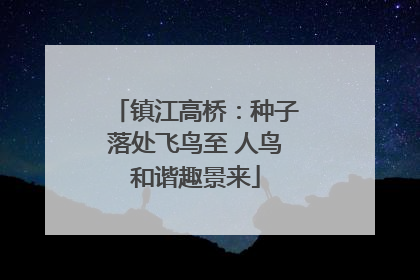 镇江高桥：种子落处飞鸟至 人鸟和谐趣景来