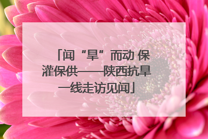 闻“旱”而动 保灌保供——陕西抗旱一线走访见闻