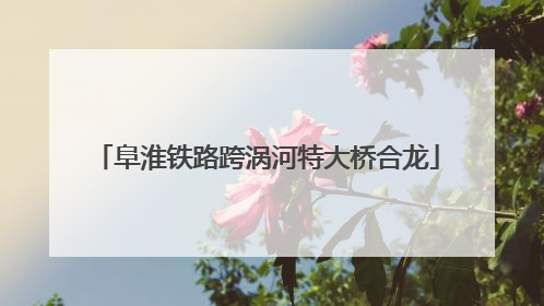 阜淮铁路跨涡河特大桥合龙