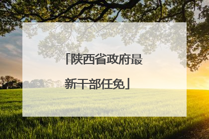 陕西省政府最新干部任免