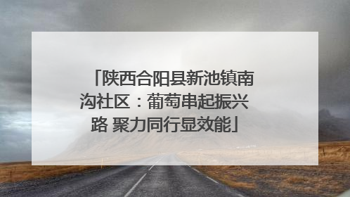 陕西合阳县新池镇南沟社区：葡萄串起振兴路 聚力同行显效能