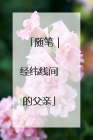 随笔｜经纬线间的父亲