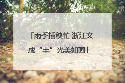 雨季插秧忙 浙江文成“丰”光美如画