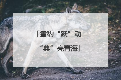 雪豹“跃”动 “典”亮青海