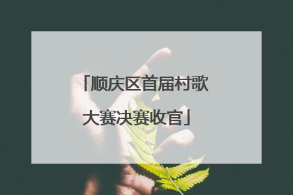 顺庆区首届村歌大赛决赛收官