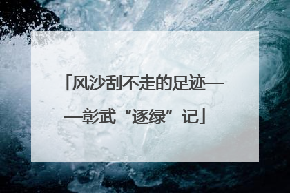 风沙刮不走的足迹——彰武“逐绿”记