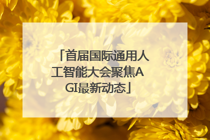 首届国际通用人工智能大会聚焦AGI最新动态