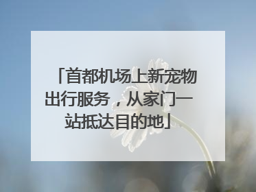 首都机场上新宠物出行服务，从家门一站抵达目的地