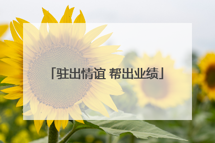 驻出情谊 帮出业绩