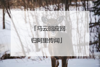 马云回应回归阿里传闻