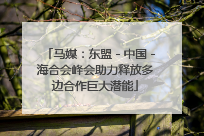 马媒：东盟－中国－海合会峰会助力释放多边合作巨大潜能