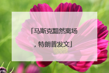 马斯克黯然离场，特朗普发文