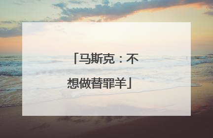 马斯克：不想做替罪羊