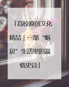 高校原创文化精品｜一部“蜗居”生活里的温情史诗