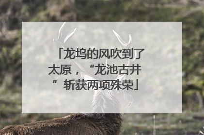 龙坞的风吹到了太原，“龙池古井”斩获两项殊荣