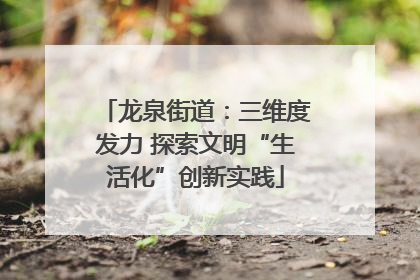 龙泉街道：三维度发力 探索文明“生活化”创新实践
