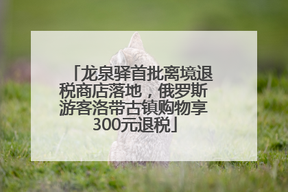 龙泉驿首批离境退税商店落地，俄罗斯游客洛带古镇购物享300元退税