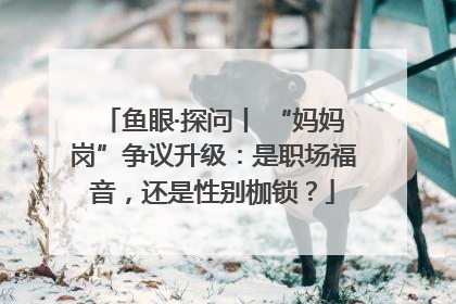 鱼眼·探问丨 “妈妈岗”争议升级：是职场福音，还是性别枷锁？