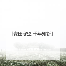 麦田守望 千年如新