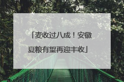 麦收过八成！安徽夏粮有望再迎丰收