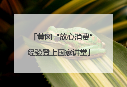 黄冈“放心消费”经验登上国家讲堂