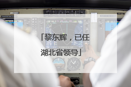黎东辉，已任湖北省领导