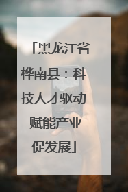 黑龙江省桦南县：科技人才驱动 赋能产业促发展