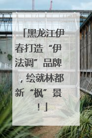 黑龙江伊春打造“伊法调”品牌，绘就林都新“枫”景！