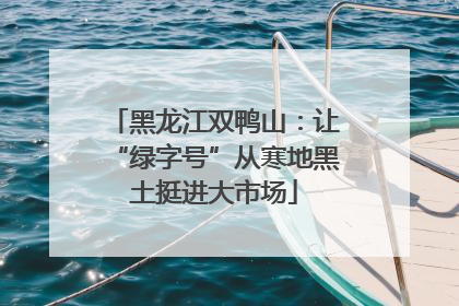 黑龙江双鸭山：让“绿字号”从寒地黑土挺进大市场