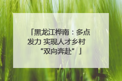 黑龙江桦南：多点发力 实现人才乡村“双向奔赴”