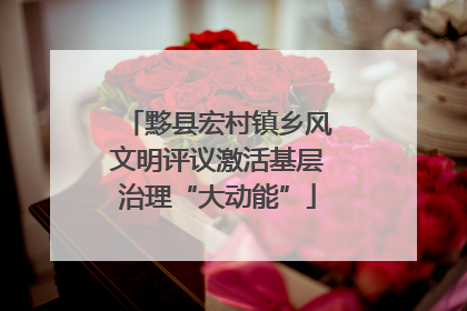 黟县宏村镇乡风文明评议激活基层治理“大动能”