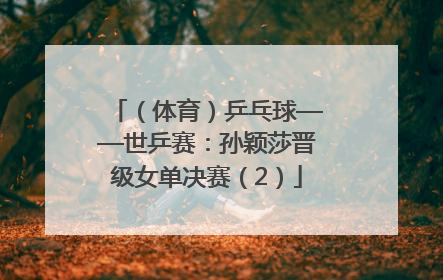 （体育）乒乓球——世乒赛：孙颖莎晋级女单决赛（2）