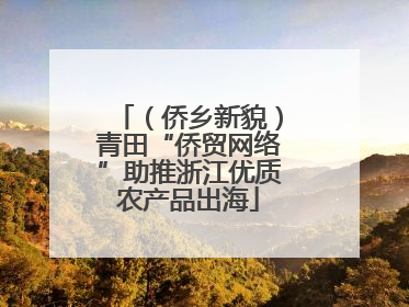 （侨乡新貌）青田“侨贸网络”助推浙江优质农产品出海