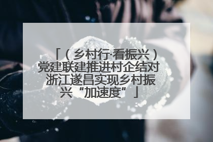 （乡村行·看振兴）党建联建推进村企结对 浙江遂昌实现乡村振兴“加速度”
