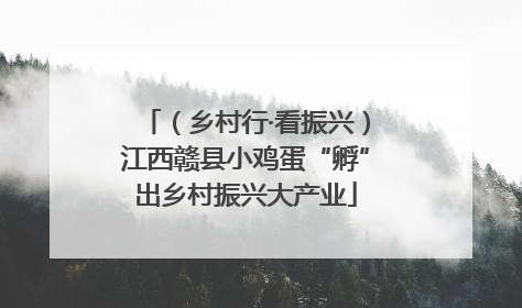 （乡村行·看振兴）江西赣县小鸡蛋“孵”出乡村振兴大产业