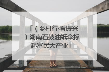 （乡村行·看振兴）湖南石鼓油纸伞撑起富民大产业
