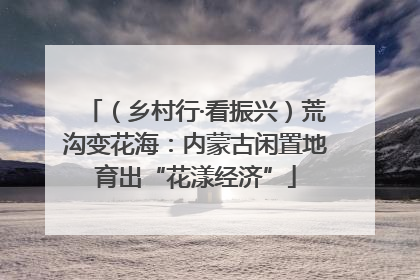 （乡村行·看振兴）荒沟变花海：内蒙古闲置地育出“花漾经济”