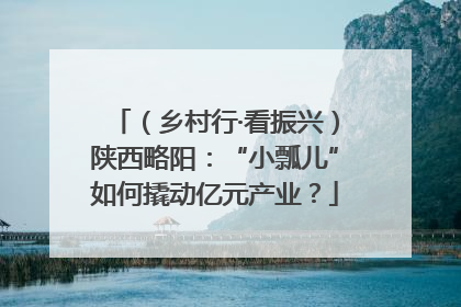 （乡村行·看振兴）陕西略阳：“小瓢儿”如何撬动亿元产业？