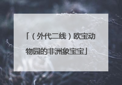（外代二线）欧宝动物园的非洲象宝宝
