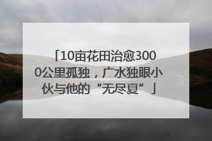 10亩花田治愈3000公里孤独，广水独眼小伙与他的“无尽夏”