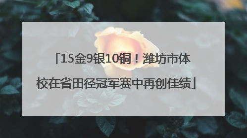 15金9银10铜！潍坊市体校在省田径冠军赛中再创佳绩