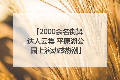 2000余名街舞达人云集 平原湖公园上演动感热潮