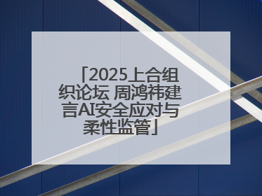 2025上合组织论坛 周鸿祎建言AI安全应对与柔性监管