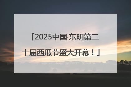 2025中国·东明第二十届西瓜节盛大开幕！