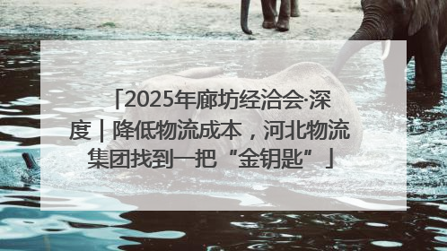 2025年廊坊经洽会·深度｜降低物流成本，河北物流集团找到一把“金钥匙”