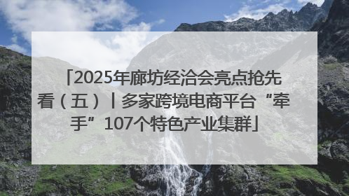 2025年廊坊经洽会亮点抢先看（五）丨多家跨境电商平台“牵手”107个特色产业集群
