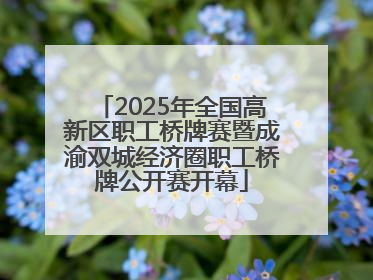 2025年全国高新区职工桥牌赛暨成渝双城经济圈职工桥牌公开赛开幕